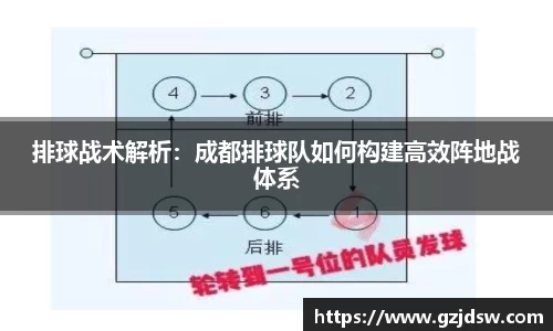 yy体育