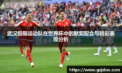 yy体育