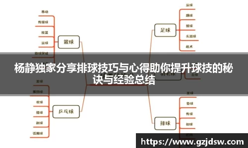 杨静独家分享排球技巧与心得助你提升球技的秘诀与经验总结