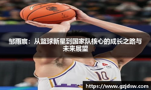 yy体育